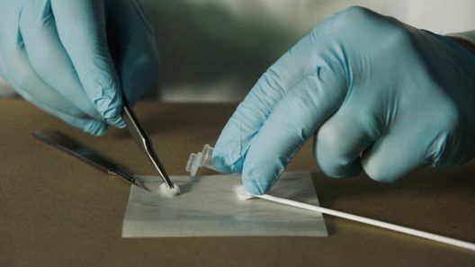 Medical Detectives - Geheimnisse der Gerichtsmedizin