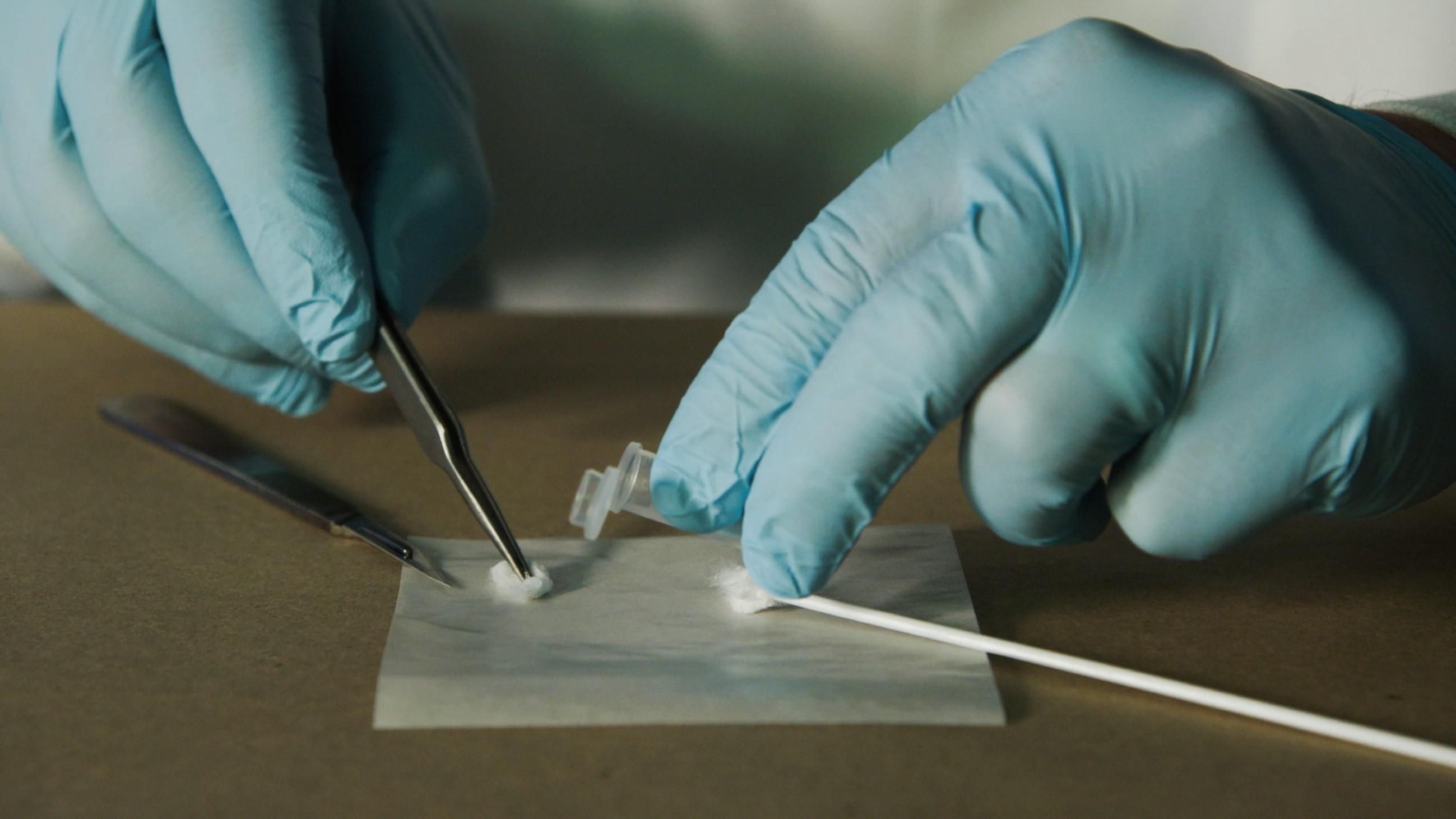 Medical Detectives - Geheimnisse der Gerichtsmedizin