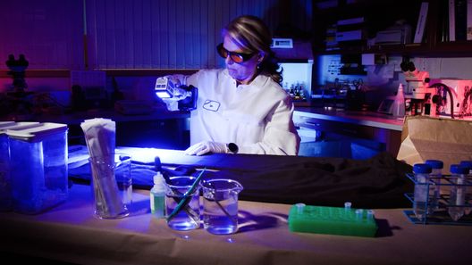 Medical Detectives - Geheimnisse der Gerichtsmedizin