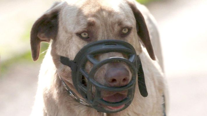 Marina sucht Hilfe bei Trainerin Franziska Herre.