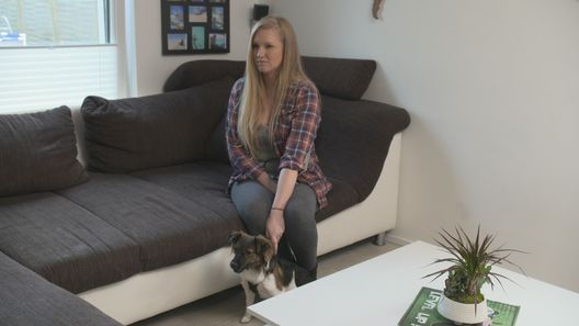 Der Hundeprofi - Rütters Team