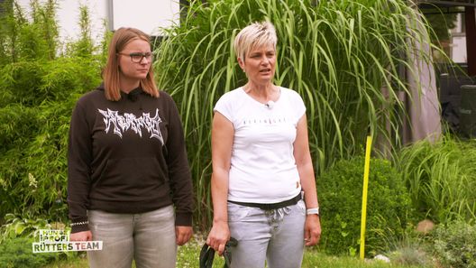 Der Hundeprofi - Rütters Team