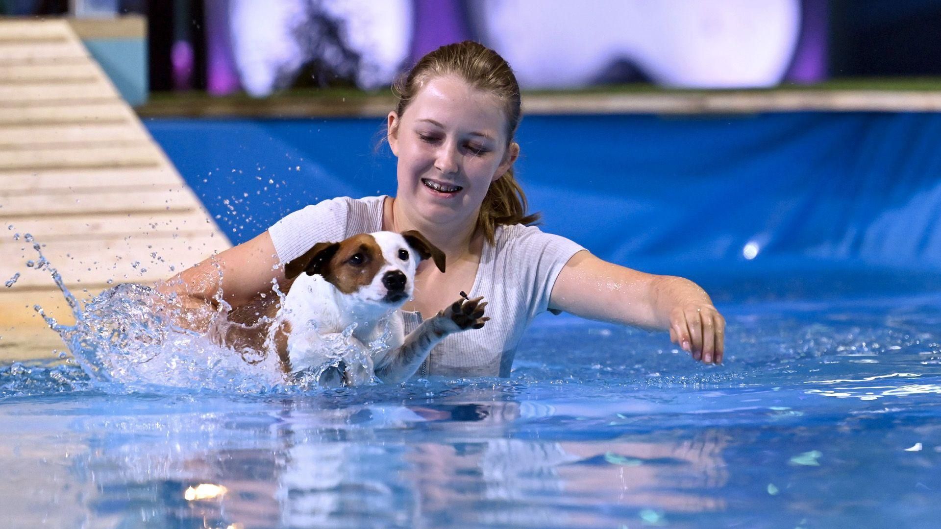 Folge 3 vom 30.07.2021 Top Dog Germany Der beste Hund Deutschlands