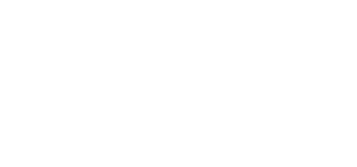 Friedmanns Vier