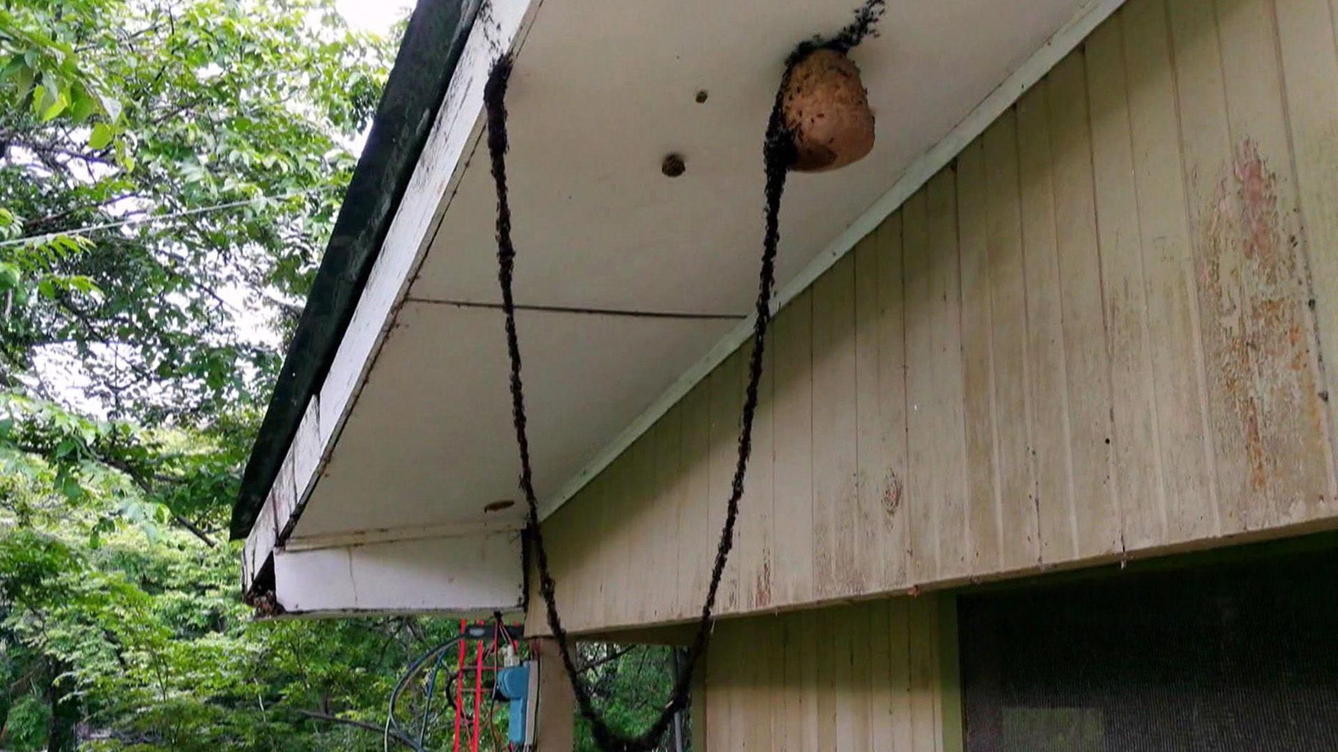 folge-16-vom-28-12-2021-un-gekl-rte-ph-nomene-was-wirklich-geschah