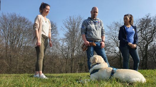 Der Hundeprofi - Rütters Team