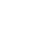 Wild Winners - Helden der Tierwelt