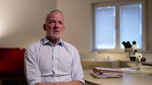 Medical Detectives - Geheimnisse der Gerichtsmedizin