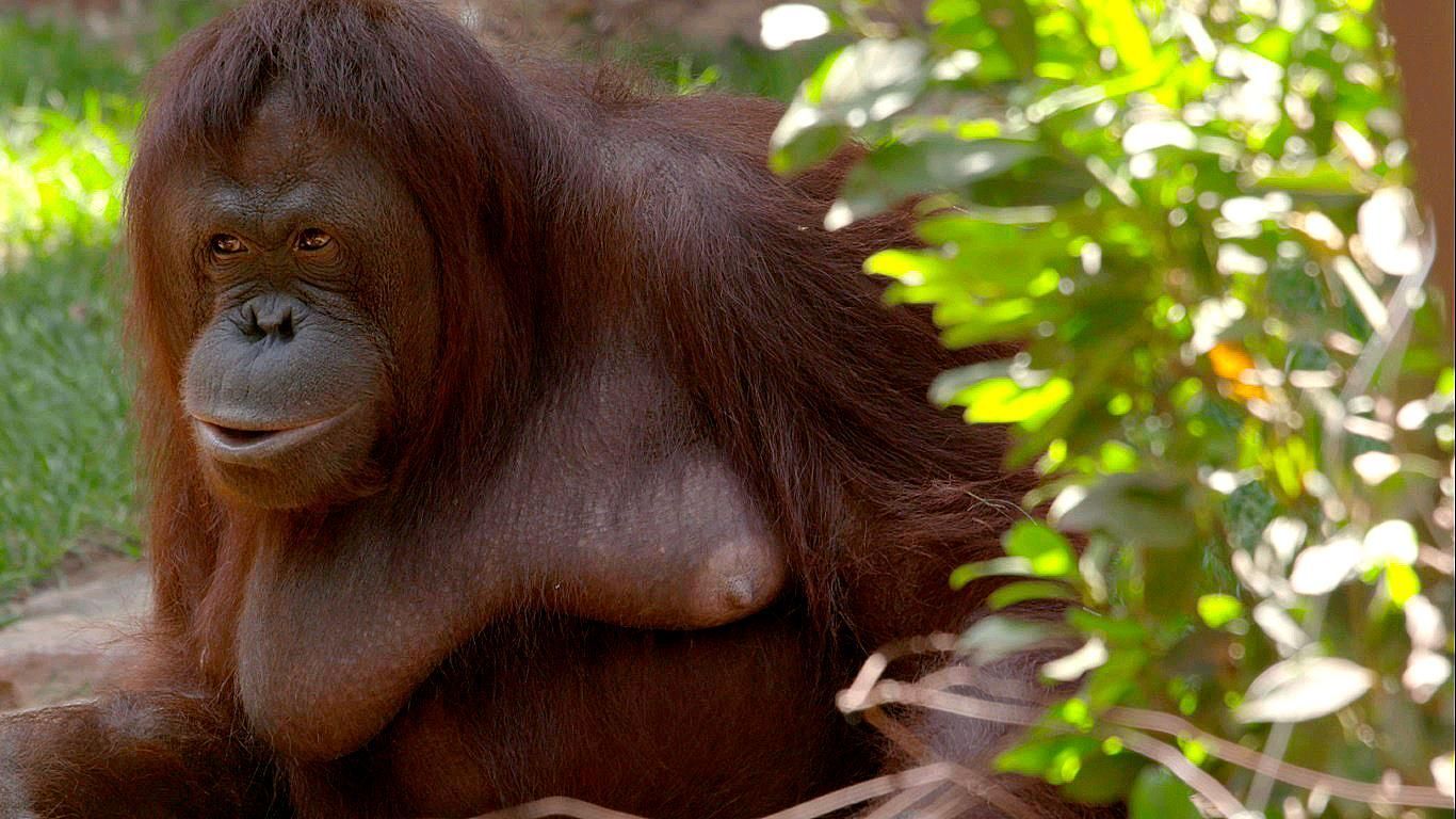 Hotspots der Tierwelt
