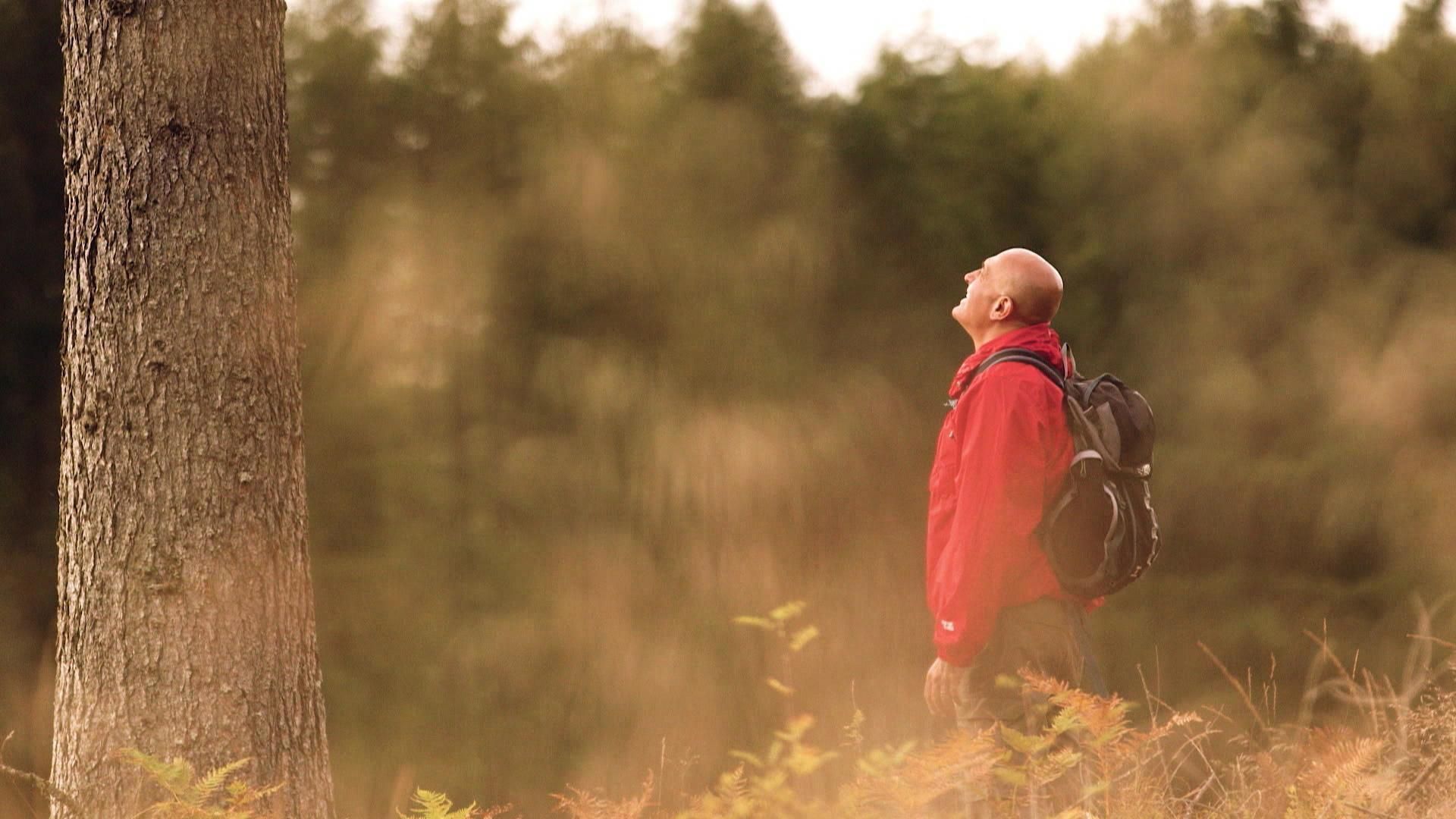 Die größten Rätsel unserer Zeit