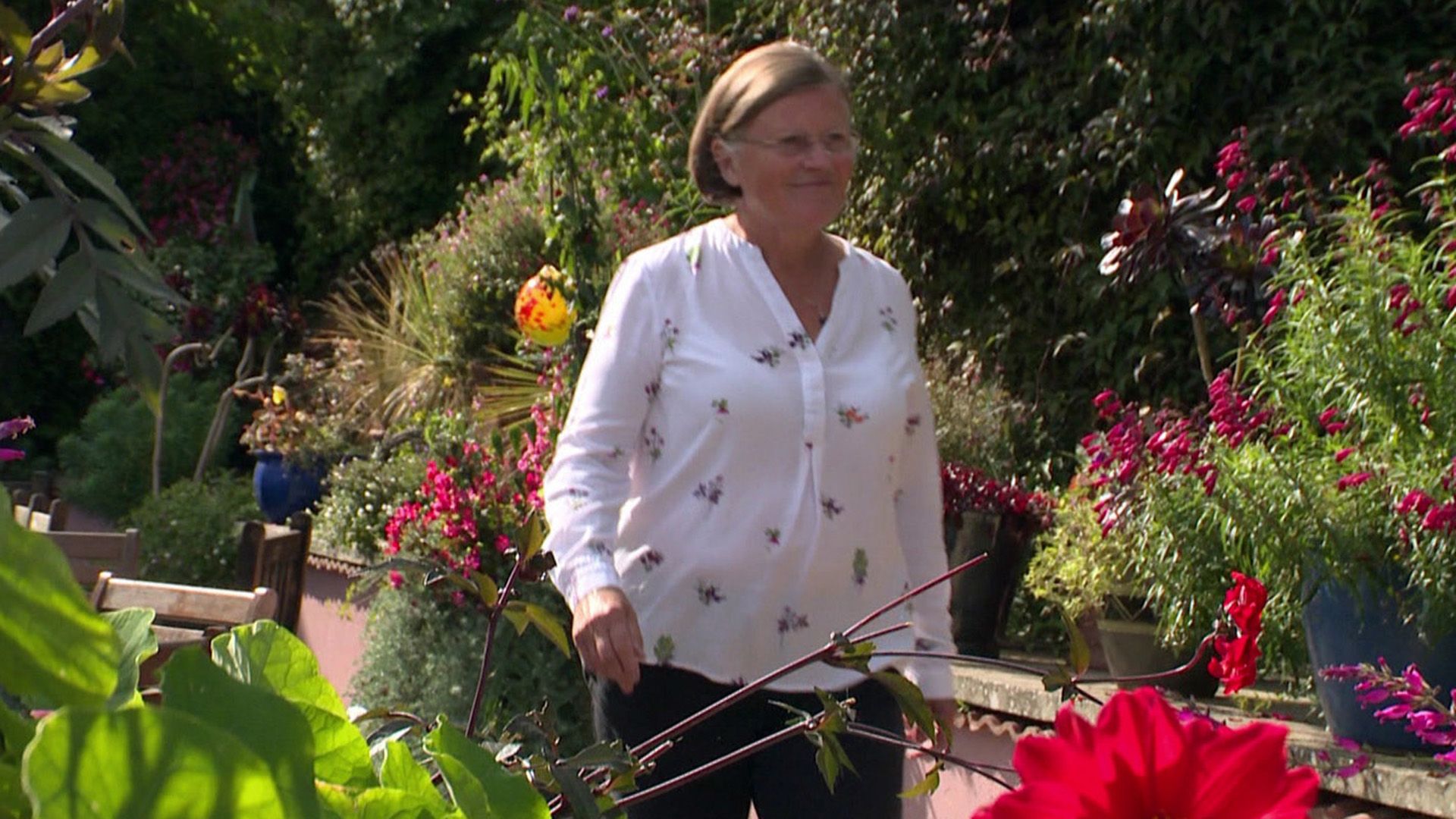 Folge 2 Garden Rescue Wer rettet meinen Garten? Staffel 5 RTL+