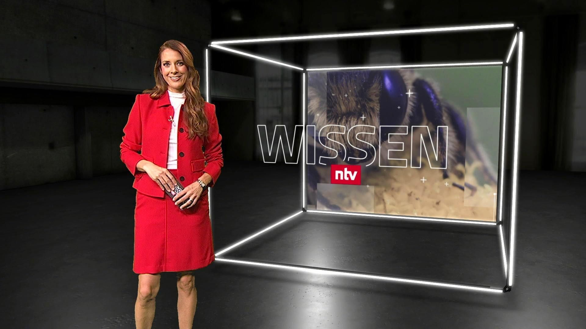 Folge 14 vom 05.04.2023 - ntv Wissen | RTL 