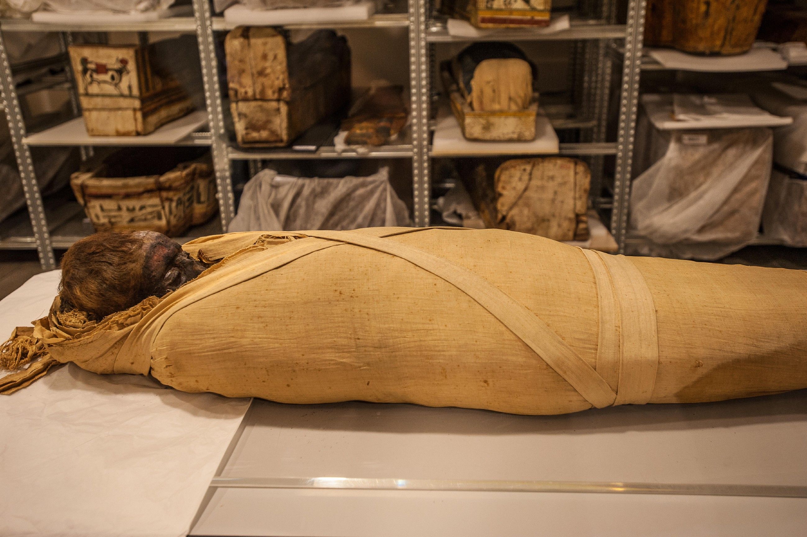 Das Kokain-Rätsel - Drogen-Mumien im Alten Ägypten