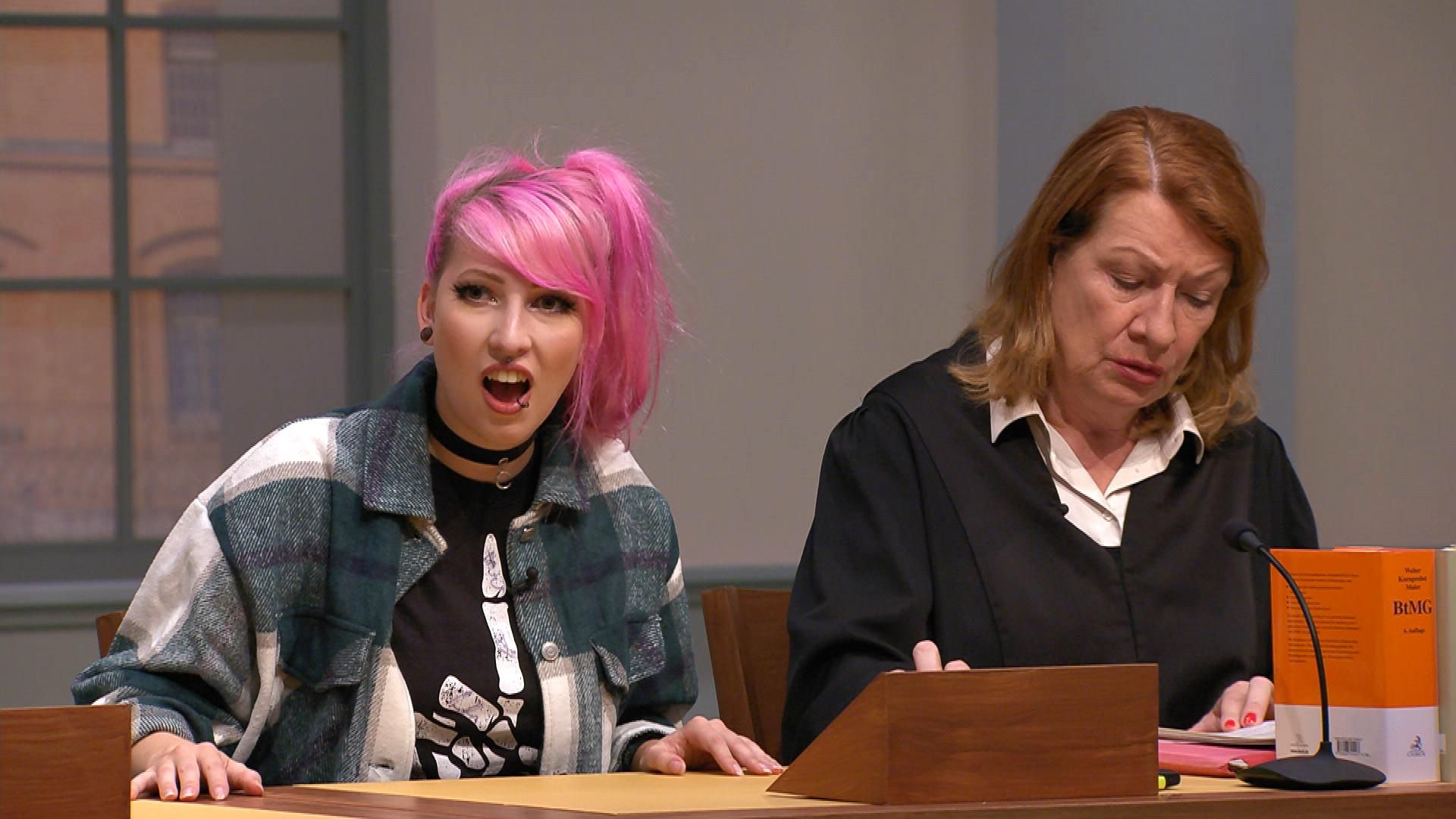 Barbara Salesch - Das Strafgericht