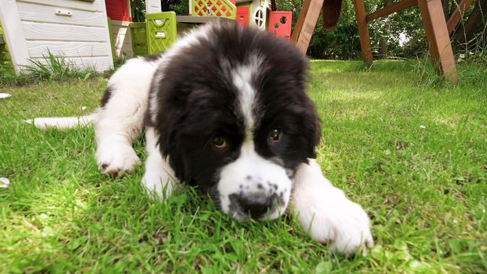 Folge 2 - Best of...