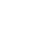 BFF - Hochzeit und andere Katastrophen