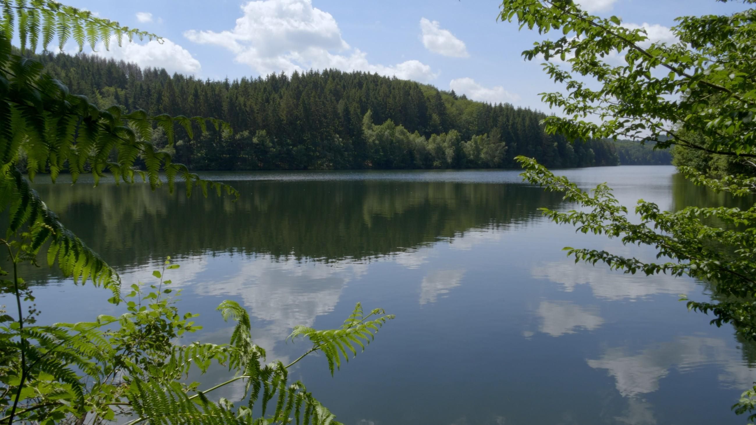 Die Talsperren im Bergischen Land