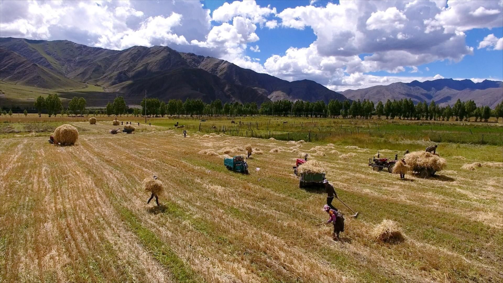 China - Reise durch die Jahreszeiten