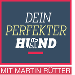 Dein perfekter Hund