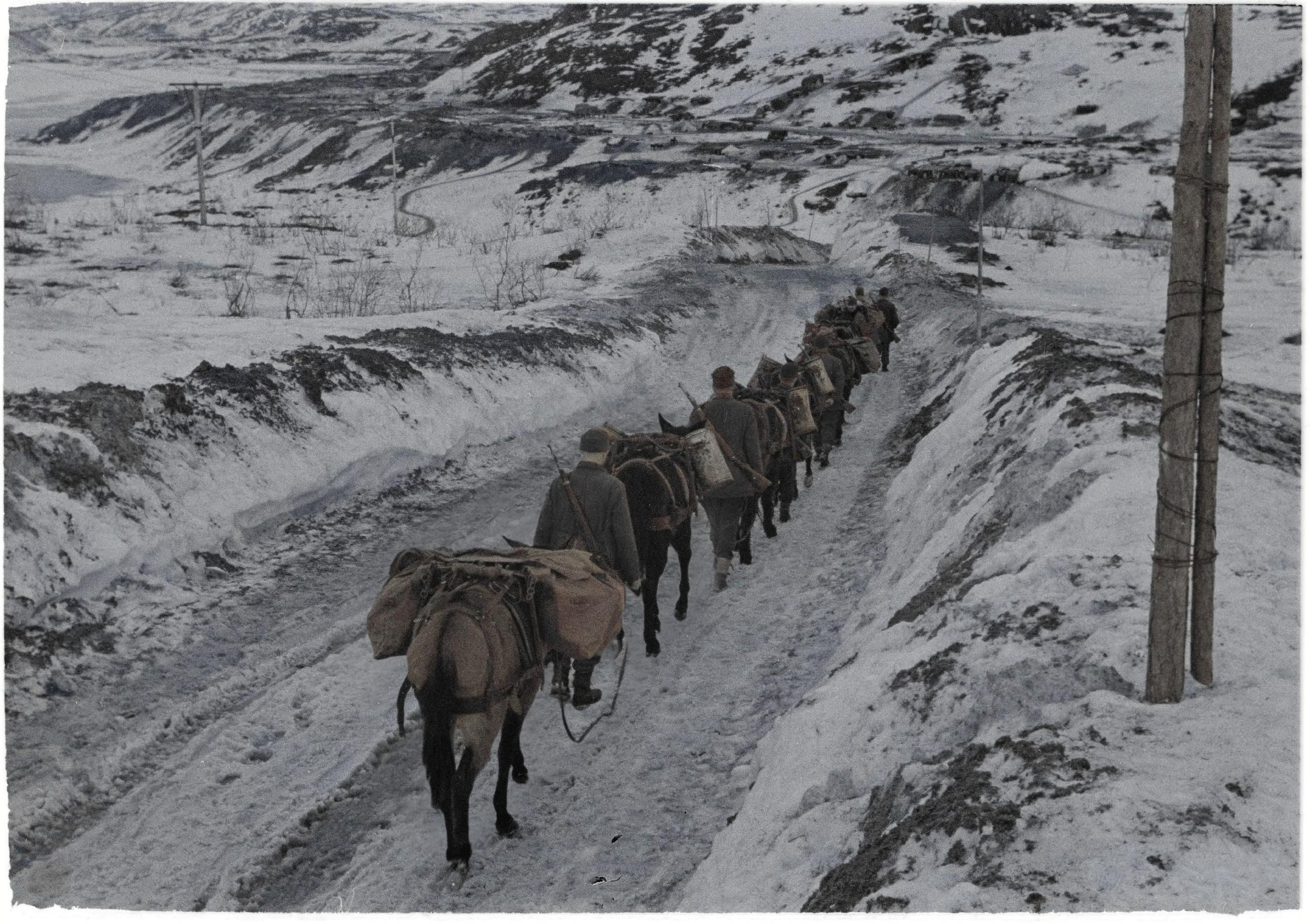 Der Zweite Weltkrieg in der Arktis