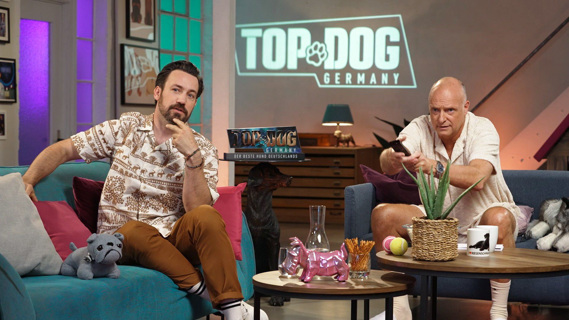 Folge 8 vom 18.08.2023 Top Dog Germany Der beste Hund Deutschlands