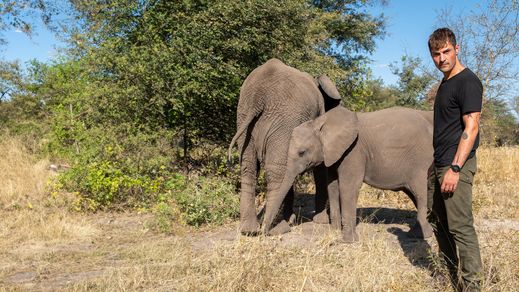 Giganten im Stream RTL+