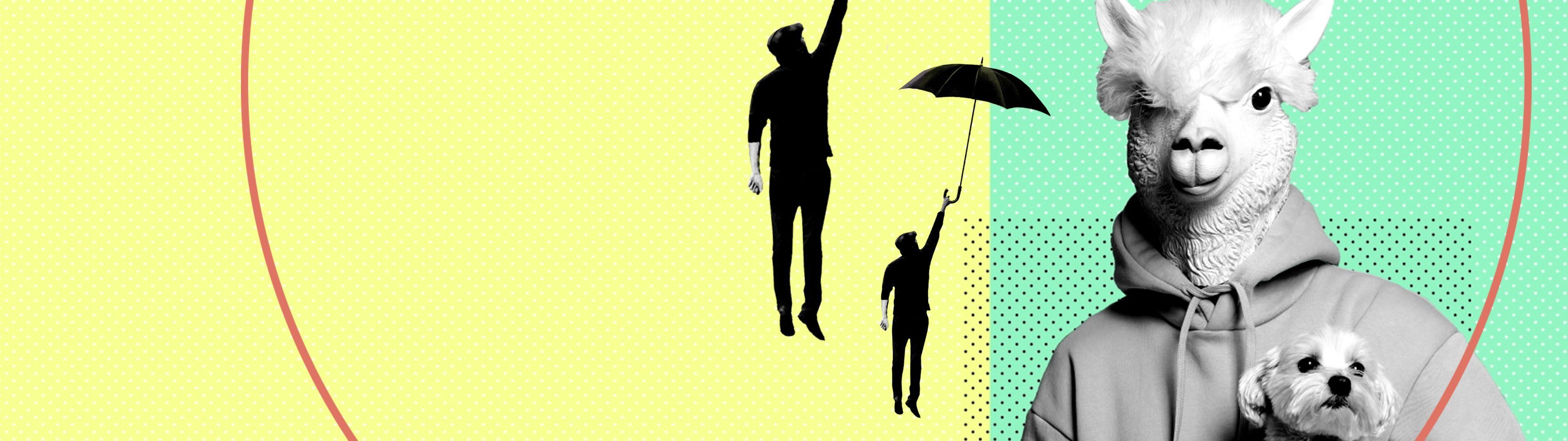 Einfach crazy Normal kann jeder Ganze Staffeln streamen RTL+