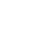 Behringer und die Toten - Ein Bamberg-Krimi