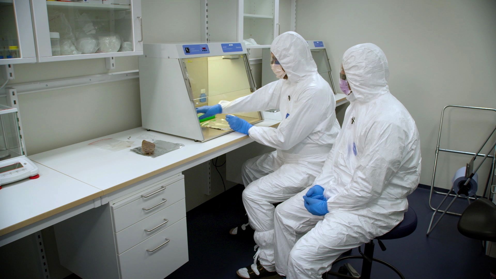 Zurück in die Eiszeit