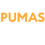 Pumas - Legenden der Anden