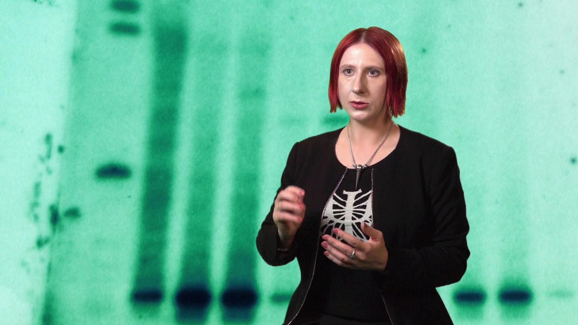 Anwälte der Toten - Verbrechen, die Deutschland bewegten