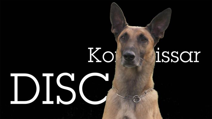 Einsatz für Kommissar Disco