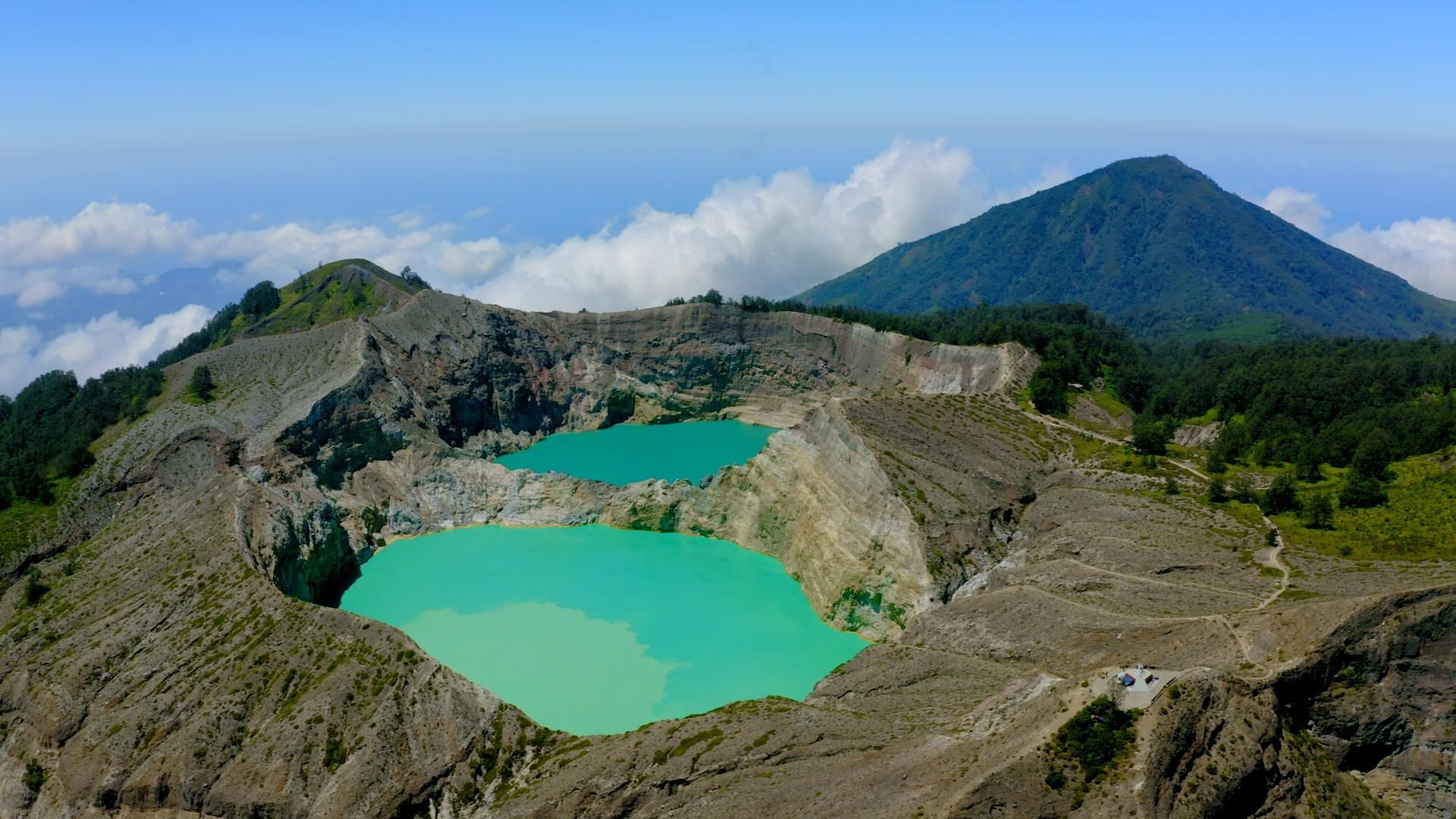 Das Korallendreieck - Ein magischer Kreislauf