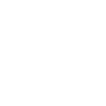 Das geheime Leben der Dachse
