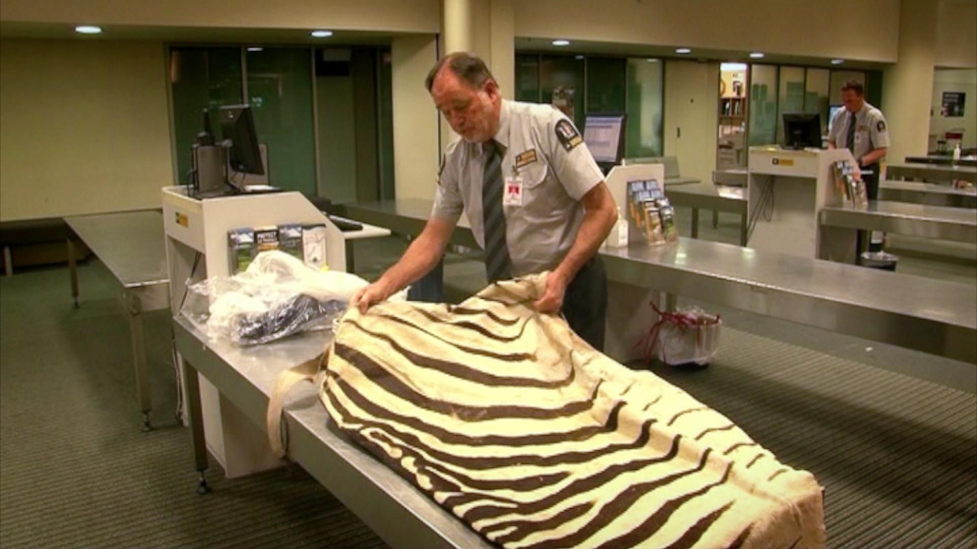 Border Patrol Neuseeland