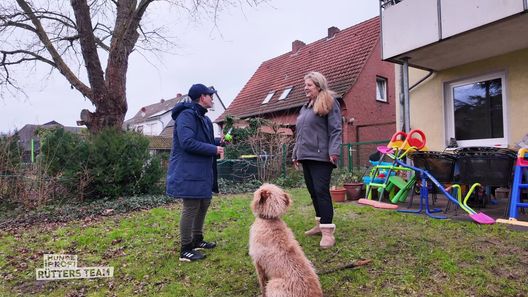 Der Hundeprofi - Rütters Team