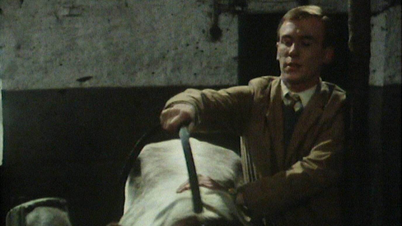 Der Doktor und das liebe Vieh