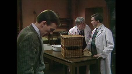 Der Doktor und das liebe Vieh