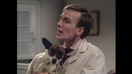 Der Doktor und das liebe Vieh